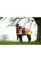 2022 Equisafety Charlotte Dujardin Hi Vis Multi Coloured Horse Sheet CD-MCQWS - Pink / Yellow
